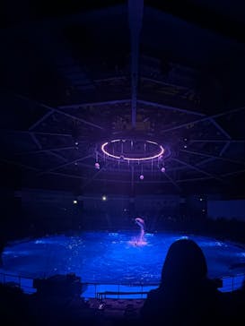 マクセル アクアパーク品川に投稿された画像（2025/3/11）