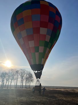 ウイニングバルーンクラブに投稿された画像（2025/3/11）