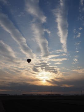 ウイニングバルーンクラブに投稿された画像（2025/3/11）