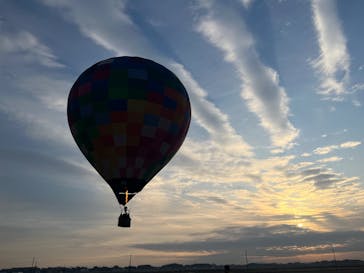 ウイニングバルーンクラブに投稿された画像（2025/3/11）
