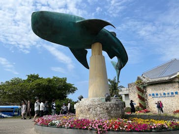 沖縄美ら海水族館に投稿された画像（2025/3/11）