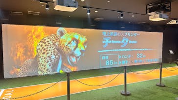 VS PARK 横浜ワールドポーターズ店に投稿された画像（2025/3/11）