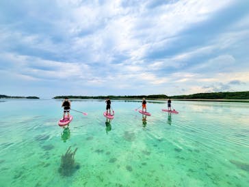  マリンショップHAPPYに投稿された画像（2025/3/12）