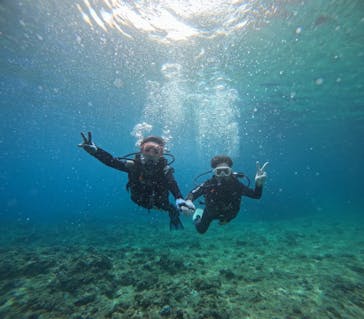 武藤潜水に投稿された画像（2025/3/12）
