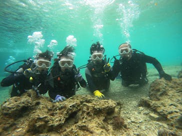 武藤潜水に投稿された画像（2025/3/12）