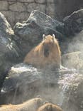 伊豆シャボテン動物公園に投稿された画像（2025/3/12）