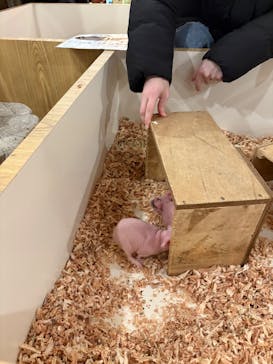 伊豆シャボテン動物公園に投稿された画像（2025/3/12）