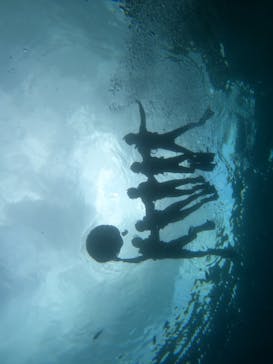 沖縄マリンサービス碧に投稿された画像（2025/3/12）