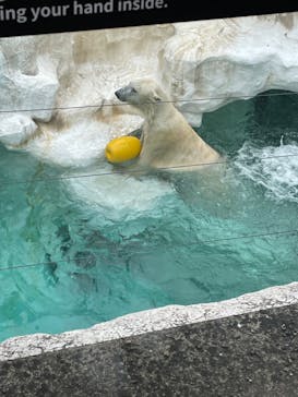 恩賜上野動物園に投稿された画像（2025/3/12）