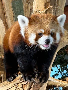 ネオパークオキナワに投稿された画像（2025/3/12）