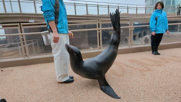 アクアワールド茨城県大洗水族館に投稿された画像（2025/3/12）
