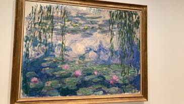 モネ　睡蓮のときに投稿された画像（2025/3/12）
