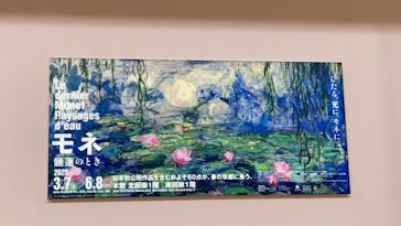 モネ　睡蓮のときに投稿された画像（2025/3/12）