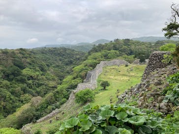 今帰仁城跡に投稿された画像（2025/3/12）