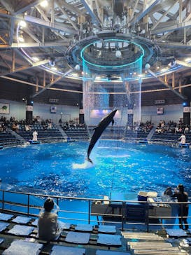 マクセル アクアパーク品川に投稿された画像（2025/3/12）