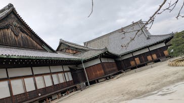 元離宮二条城に投稿された画像（2025/3/12）