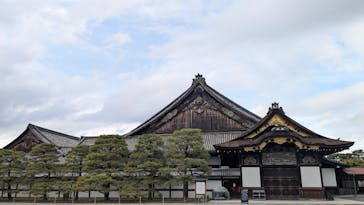 元離宮二条城に投稿された画像（2025/3/12）