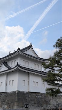 元離宮二条城に投稿された画像（2025/3/12）