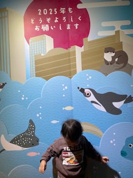 サンシャイン水族館に投稿された画像（2025/3/12）