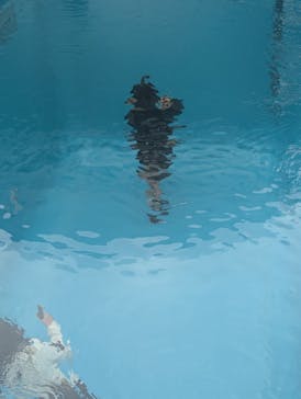 金沢21世紀美術館に投稿された画像（2025/3/12）