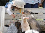千葉市動物公園に投稿された画像（2025/3/12）