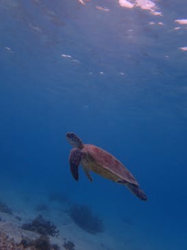 DRIFTER（ドリフター）に投稿された画像（2025/3/12）