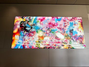 蜷川実花展 with EiM：彼岸の光、此岸の影 NINAGAWA Mika with EiM：Lights of the beyond, Shadows of this worldに投稿された画像（2025/3/12）