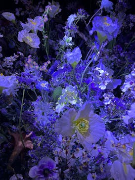 蜷川実花展 with EiM：彼岸の光、此岸の影 NINAGAWA Mika with EiM：Lights of the beyond, Shadows of this worldに投稿された画像（2025/3/12）