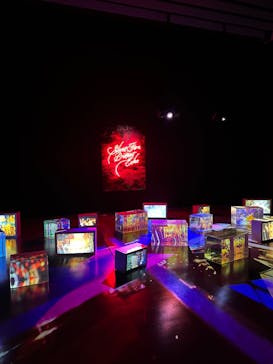 蜷川実花展 with EiM：彼岸の光、此岸の影 NINAGAWA Mika with EiM：Lights of the beyond, Shadows of this worldに投稿された画像（2025/3/12）