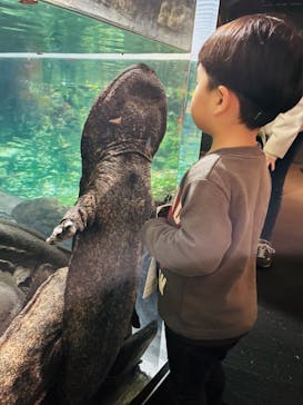 京都水族館に投稿された画像（2025/3/12）