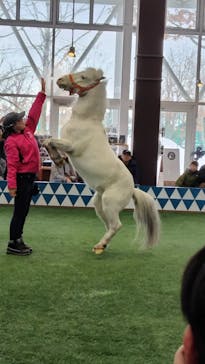 ノーザンホースパークに投稿された画像（2025/3/12）