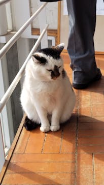 ノーザンホースパークに投稿された画像（2025/3/12）