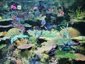 サンシャイン水族館に投稿された画像（2025/3/12）