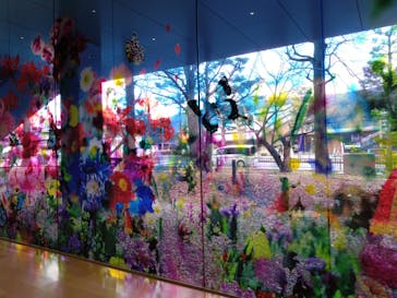 蜷川実花展 with EiM：彼岸の光、此岸の影 NINAGAWA Mika with EiM：Lights of the beyond, Shadows of this worldに投稿された画像（2025/3/13）