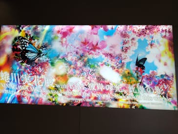 蜷川実花展 with EiM：彼岸の光、此岸の影 NINAGAWA Mika with EiM：Lights of the beyond, Shadows of this worldに投稿された画像（2025/3/13）