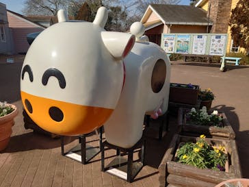 成田ゆめ牧場に投稿された画像（2025/3/13）