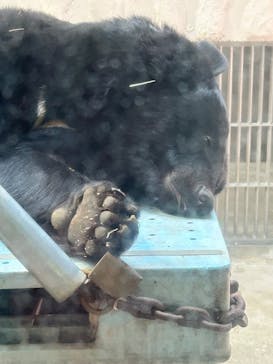 名古屋市東山動植物園に投稿された画像（2025/3/13）