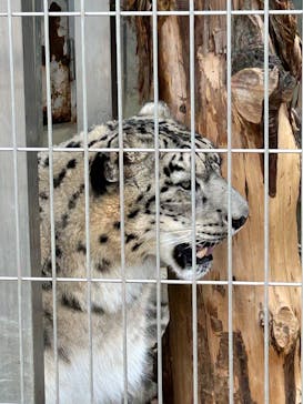 名古屋市東山動植物園に投稿された画像（2025/3/13）