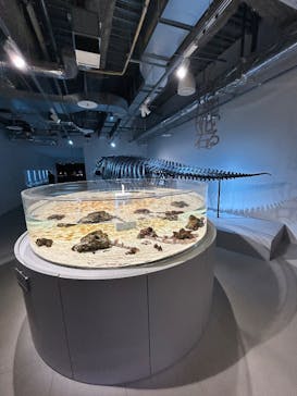 AOAO SAPPOROに投稿された画像（2025/3/13）