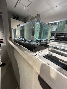 AOAO SAPPOROに投稿された画像（2025/3/13）