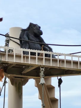 名古屋市東山動植物園に投稿された画像（2025/3/13）