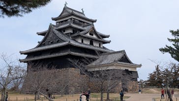 松江城に投稿された画像（2025/3/13）