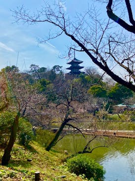 三溪園に投稿された画像（2025/3/13）