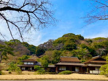 三溪園に投稿された画像（2025/3/13）