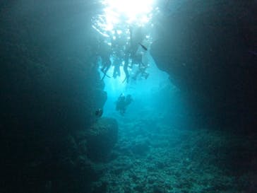 武藤潜水に投稿された画像（2025/3/13）