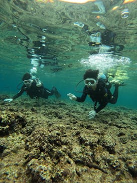 武藤潜水に投稿された画像（2025/3/13）