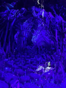 金曜ロードショーとジブリ展　三重展に投稿された画像（2025/3/13）