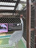 天王寺動物園に投稿された画像（2025/3/13）