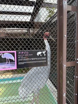 天王寺動物園に投稿された画像（2025/3/13）