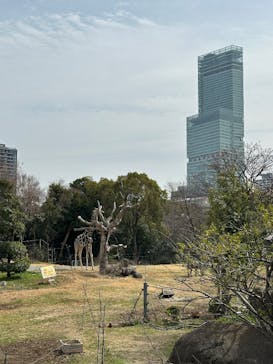 天王寺動物園に投稿された画像（2025/3/13）